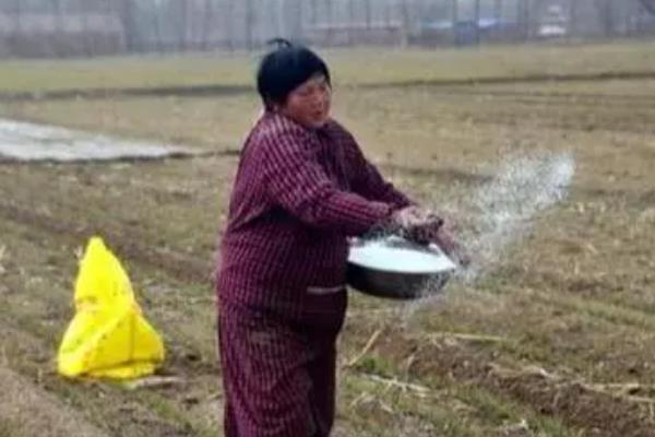 碳酸氢铵有什么作用，能为作物提供养分、起到驱虫效果