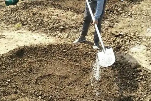 碳酸氢铵有什么作用，能为作物提供养分、起到驱虫效果