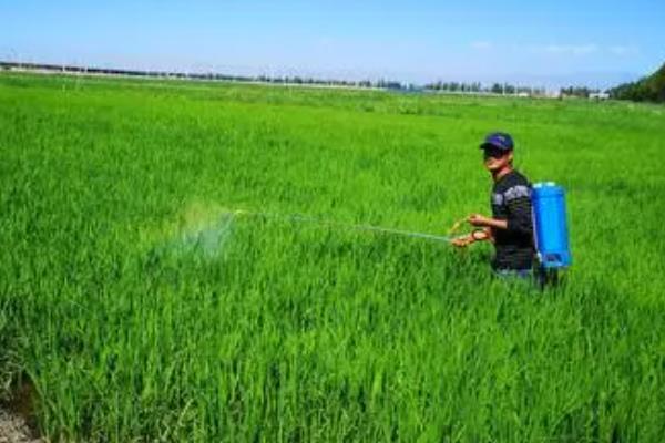 碳酸氢铵有什么作用，能为作物提供养分、起到驱虫效果