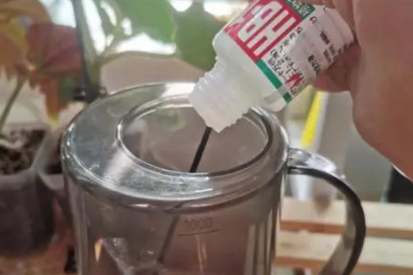 垂丝茉莉的花苞掉落怎么办，需根据发生原因采取对应措施