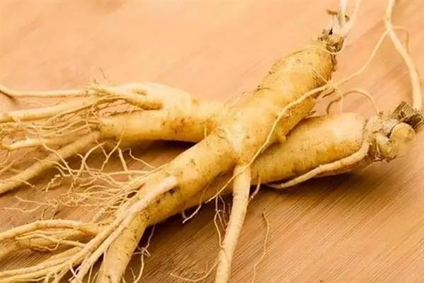 西洋参的价格，通常一斤售卖价格在199元左右