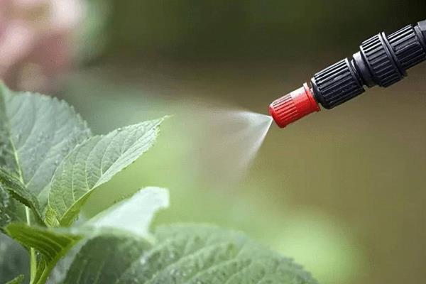 炔螨特主要杀什么虫，可杀红蜘蛛、腐嗜酪螨等