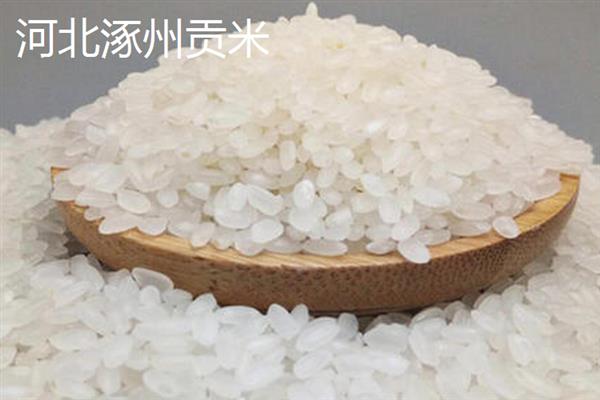 哪个地方的大米出名,河北涿州贡米、黑龙江五常大米都比较有名