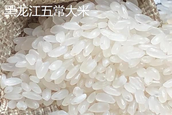 哪个地方的大米出名,河北涿州贡米、黑龙江五常大米都比较有名