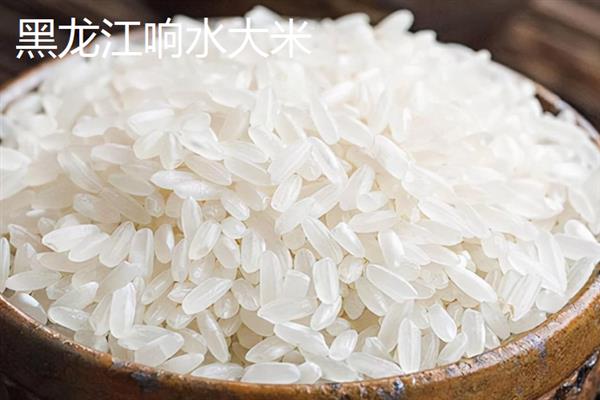 哪个地方的大米出名,河北涿州贡米、黑龙江五常大米都比较有名
