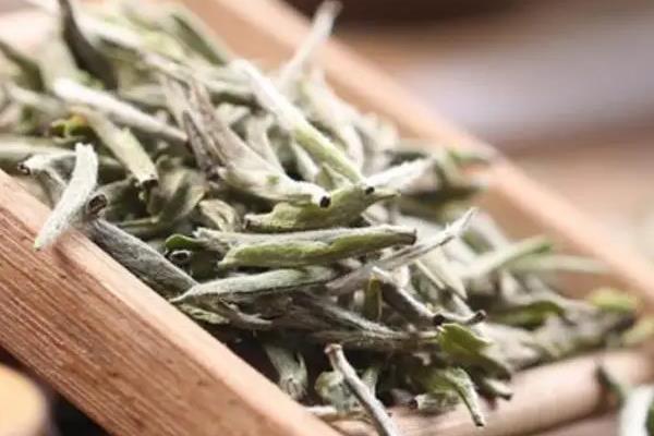 白茶是乌龙茶还是绿茶，既不是绿茶也不是乌龙茶
