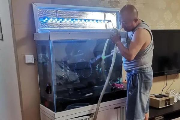 鱼缸怎么清洗水垢，可以用纸巾沾一点牙膏涂抹水垢