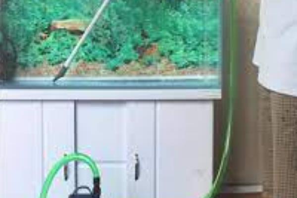 鱼多久换一次水，一般每3-7天就要换一次水