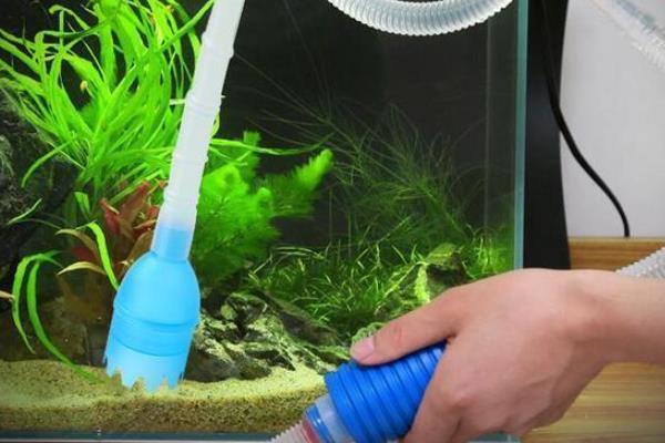 鱼多久换一次水，一般每3-7天就要换一次水