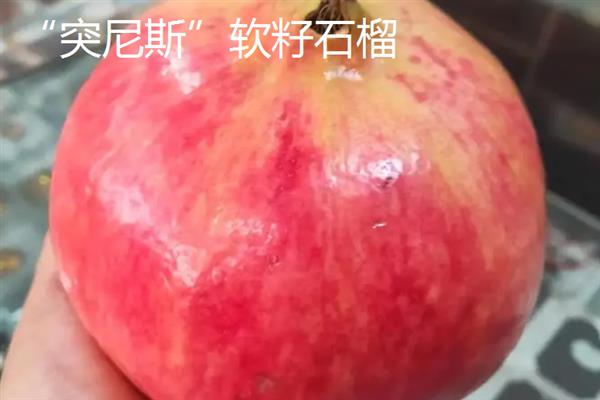 当前受市场欢迎的水果有哪些，黄金百香果深受年轻女士的青睐