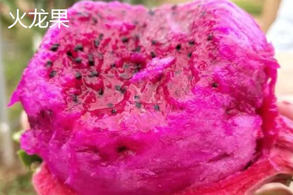 当前受市场欢迎的水果有哪些，黄金百香果深受年轻女士的青睐