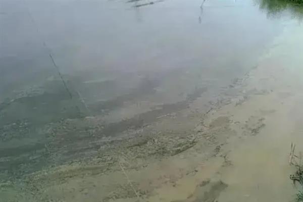 冬季鱼塘泛底的原因，可能是底部淤泥太多或冷空气的影响