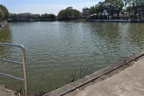 冬季鱼塘泛底的原因，可能是底部淤泥太多或冷空气的影响