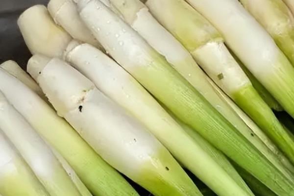 茭白能不能放冰箱，茭白可以放冰箱保存