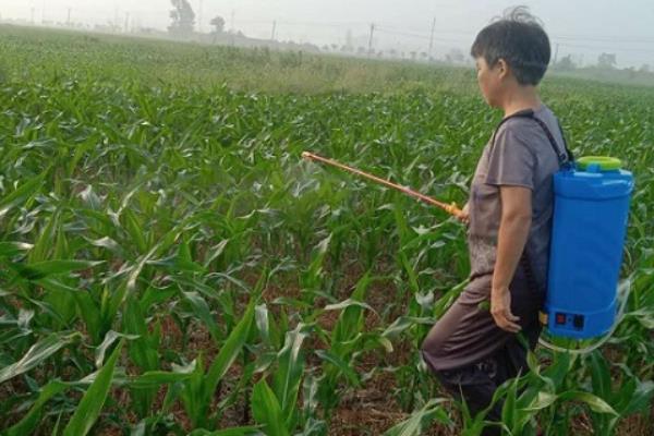 怎么使用金都尔封闭除草剂，播种前或移栽前兑水喷施地面