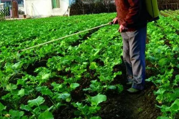 怎么使用金都尔封闭除草剂，播种前或移栽前兑水喷施地面