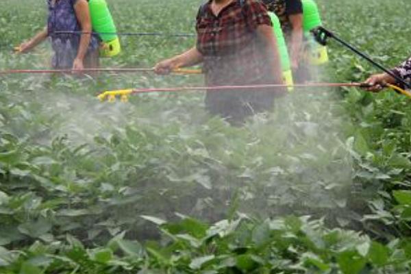 怎么使用金都尔封闭除草剂，播种前或移栽前兑水喷施地面