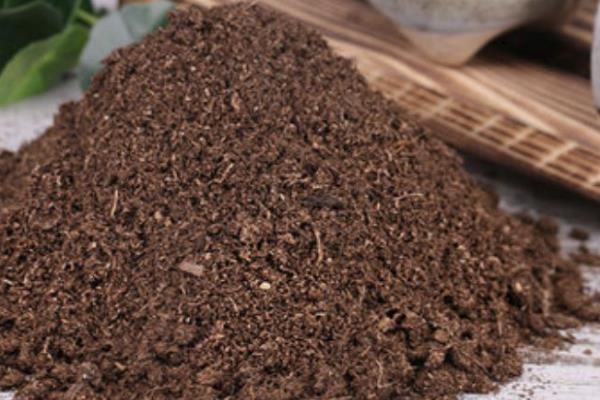 乌羽玉的播种方法，种子的萌发温度在20–30℃