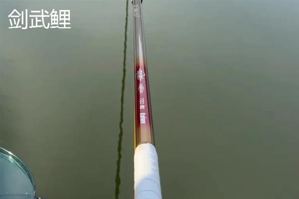 哪款大物竿好用，推荐浪尖大物、天圣极大物版等