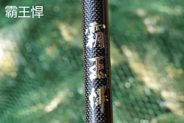 哪款大物竿好用，推荐浪尖大物、天圣极大物版等