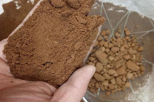 木棉树有什么花语，代表珍惜和幸福