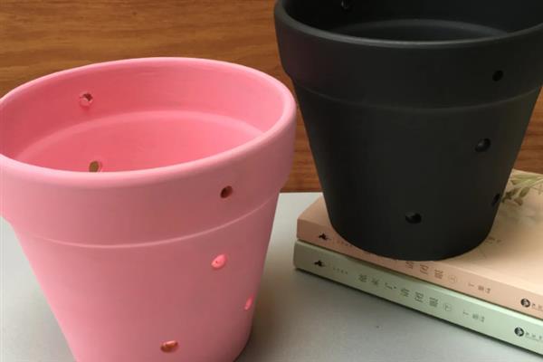 蓝莓树苗盆栽如何种植，可以选择陶瓷盆或塑料盆种植