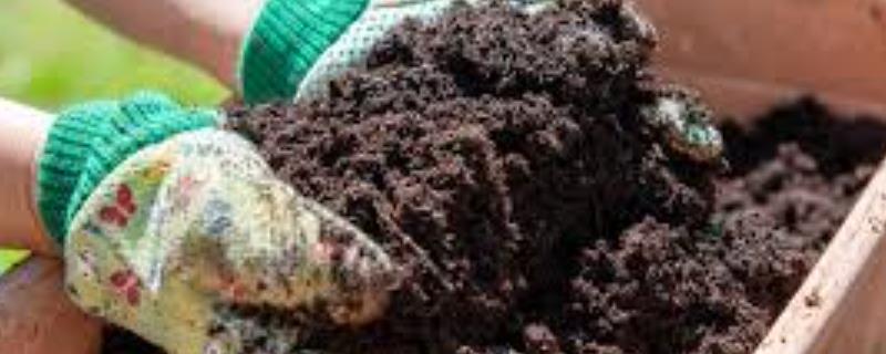 有机肥适合对哪些作物使用，基本适用于所有作物
