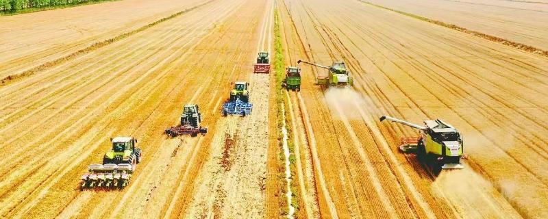 农业可持续发展有哪些措施，需因地制宜发展农业