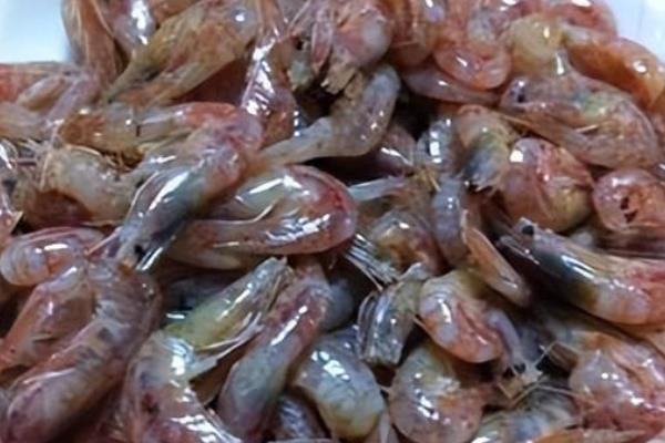 毛虾属于海虾还是河虾，属于海虾