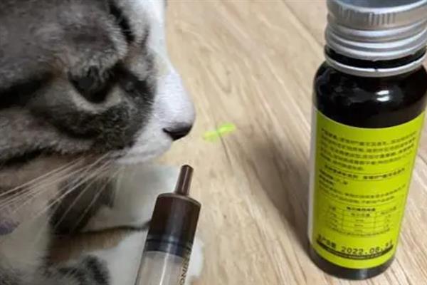 猫咪拉稀的原因，可能是换到陌生的环境或饮食问题所致