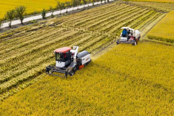 农业可持续发展有哪些措施,需因地制宜发展农业