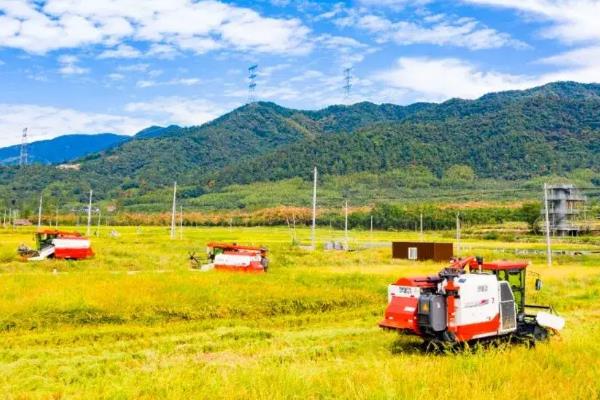 农业可持续发展有哪些措施,需因地制宜发展农业