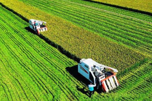 农业可持续发展有哪些措施,需因地制宜发展农业