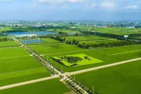 农业可持续发展有哪些措施,需因地制宜发展农业