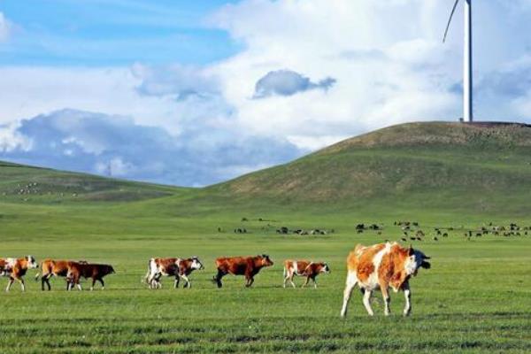 农业可持续发展有哪些措施,需因地制宜发展农业