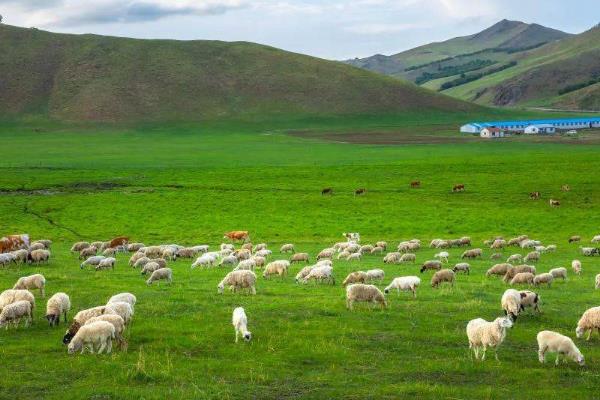 农业可持续发展有哪些措施,需因地制宜发展农业