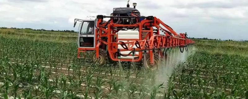 玉米田除草剂的种类，主要分为分为苯氧羧酸类除草剂、酰胺类除草剂等