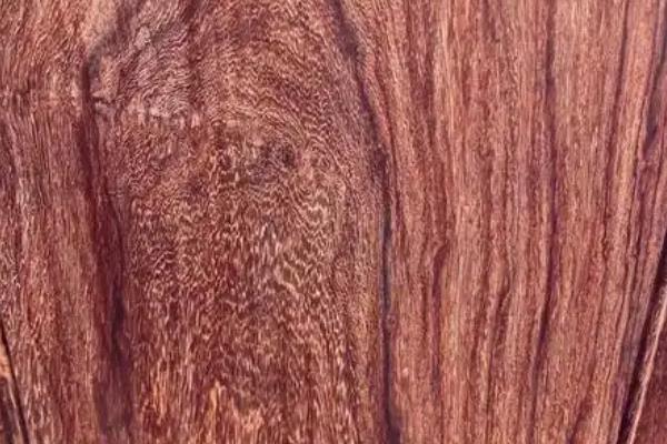 红木和金丝楠木哪个贵，金丝楠木要比红木贵一些