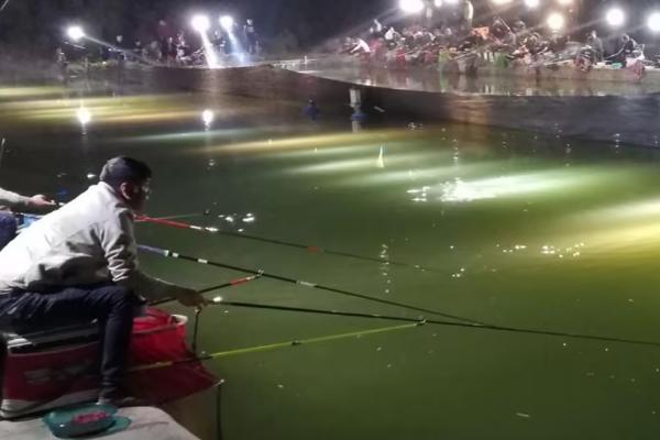 夜钓鲢鱼钓多深，在浅一些的位置垂钓会更合适
