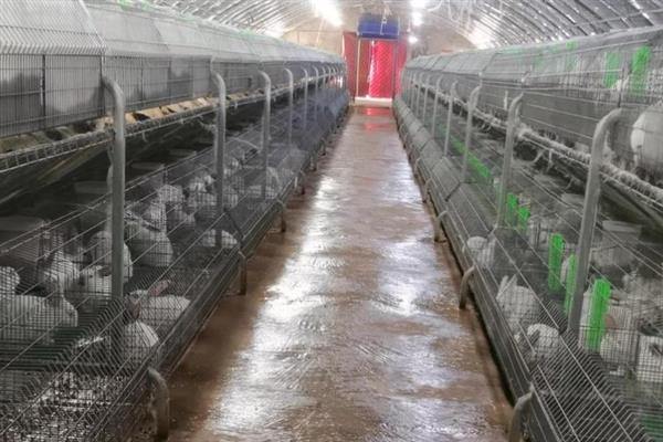 兔棚怎么搭建，要选择坚硬而且结实建筑材料