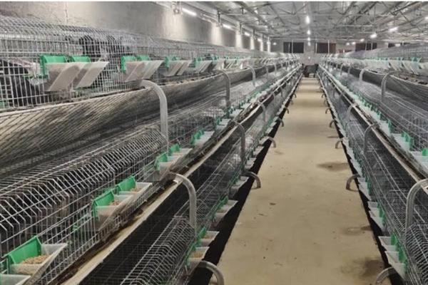 兔棚怎么搭建，要选择坚硬而且结实建筑材料