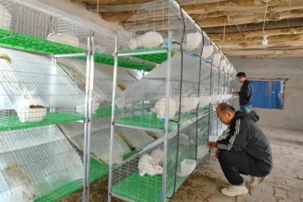 兔棚怎么搭建，要选择坚硬而且结实建筑材料