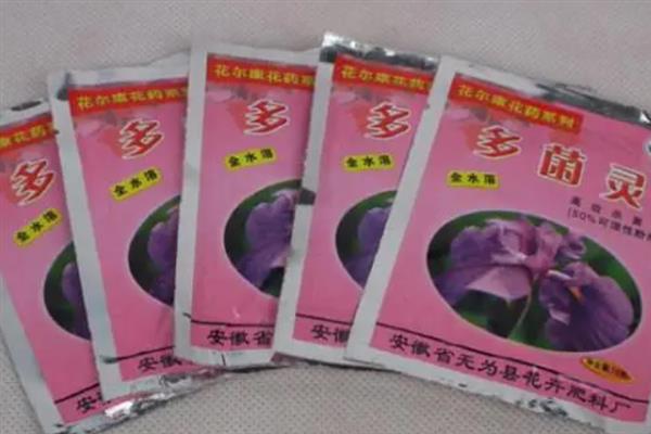 大白菜后期如何进行肥水管理，一定要做好浇水工作