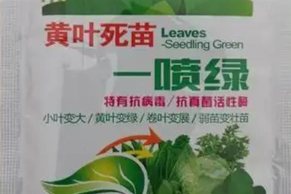 大白菜后期如何进行肥水管理，一定要做好浇水工作