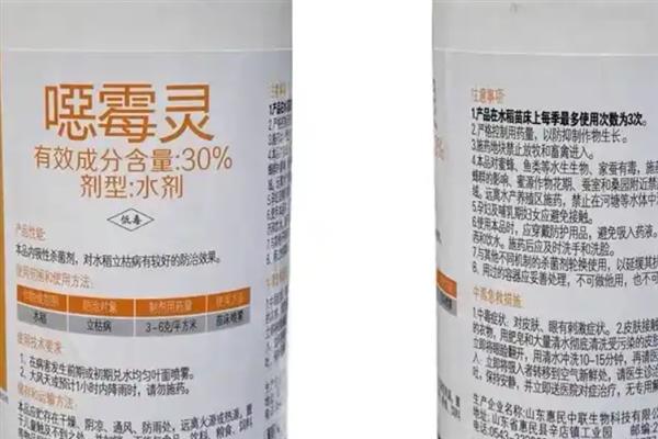 大白菜后期如何进行肥水管理，一定要做好浇水工作
