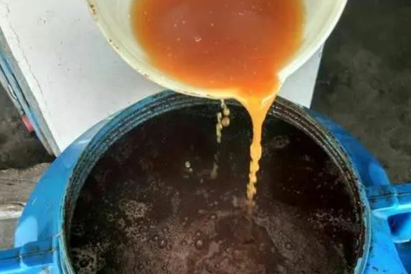 紫根兰的花期，在每年的春冬季节开花