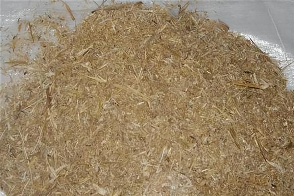 羊和鸡能不能在一起养，建议不要在一起养殖