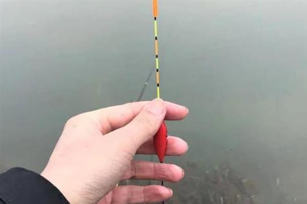 手竿浮漂吃铅量多少克好，垂钓鱼种的不同选择的吃铅量范围也不同