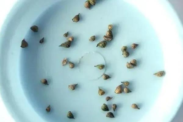 种子药液处理，常用福尔马林、磷酸三钠、多菌灵等浸种