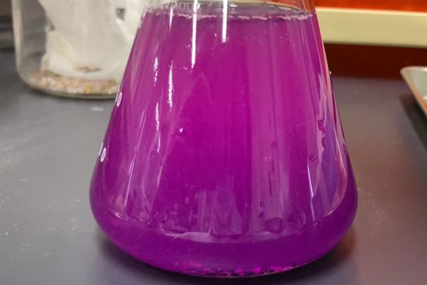 种子药液处理，常用福尔马林、磷酸三钠、多菌灵等浸种